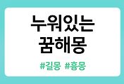 /entry/%EB%88%84%EC%9B%8C-%EC%9E%88%EB%8A%94-%EA%BF%88%ED%95%B4%EB%AA%BD-9%EA%B0%80%EC%A7%80-%ED%92%80%EC%9D%B4?category=1086519