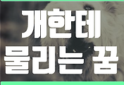 thumbnail6