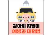 섬네일