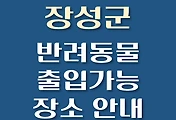썸네일-장성군 강아지 출입 가능 식당, 카페, 펜션, 반려동물 동반 관람, 체험, 여행지 안내