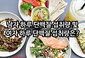 관련글이미지