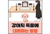 섬네일