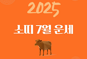 2025년 7월 『소띠』 운세 썸네일