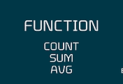 SQL 문법 | 함수 | COUNT SUM AVG DISTINCT
