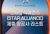 스타얼라이언스(Star Alliance) 항공 동맹 | 제휴 항공사 리스트 썸네일