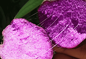 article_related_rep_thumbnail_link