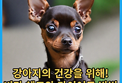 thumbnail6
