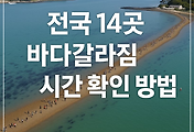 전국 바닷길 열리는 시간 확인 4가지 방법 | 서해안 바다 갈라짐 물때 시간표 썸네일