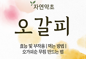오가피(오갈피) 나무 효능 및 부작용 | 먹는 방법 | 오가피순 무침 만드는 법 썸네일