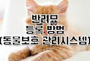 default_photo