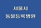 썸네일-SW-DMBW-SB-JR