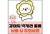 섬네일