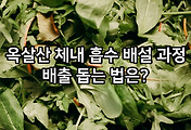 관련글이미지