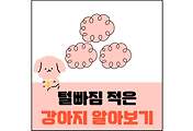 섬네일