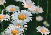 article_related_rep_thumbnail_link