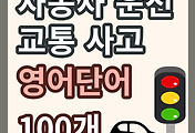 스킨이미지