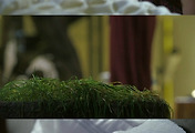cover_item_thumbnail2