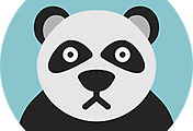 thumbnail6
