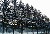 cover_item_thumbnail2