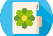 thumbnail6