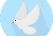 thumbnail6