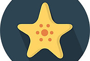 thumbnail6