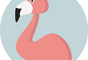 thumbnail6