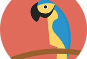thumbnail6