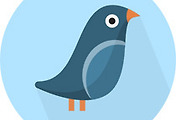 thumbnail6