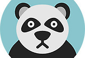 thumbnail6