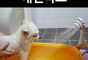 관련글썸네일