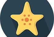 thumbnail6
