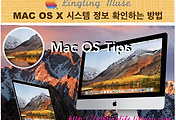 article_related_rep_thumbnail
