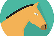 thumbnail6