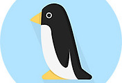 thumbnail6