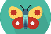 thumbnail6