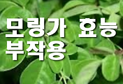 thumbnail6