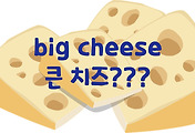 썸네일-big cheese, 큰 치즈? 이건 무슨 단어일까? [2]