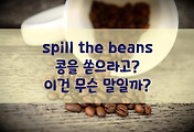 썸네일-spill the beans, 콩을 쏟으라고? 이건 무슨 말일까?