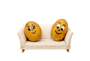 썸네일-couch potato, 소파 감자? 이건 무슨 단어일까?