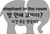 썸네일-elephant in the room, 방에 코끼리? 이건 무슨 말일까? [11]