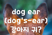 썸네일-dog ear, 강아지 귀? 이건 무슨 단어일까? [4]