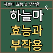 하늘마 효능과 부작용 썸네일