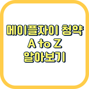 썸네일