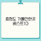 썸네일