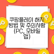 썸네일