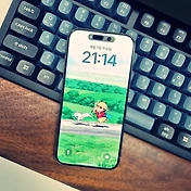 related list thumbnail