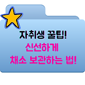 썸네일
