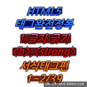 (HTML/HTML5) 2.서식태그 원형5가지와 <b> , <strong> 태그 1~2/39