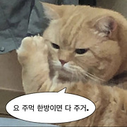 지니룸